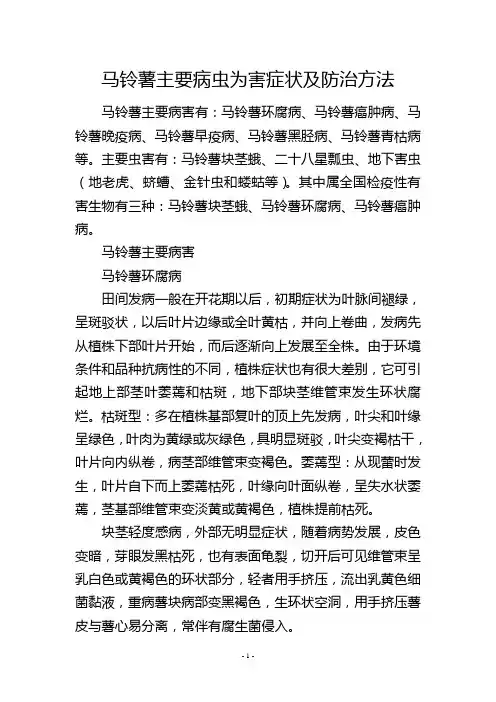马铃薯主要病虫为害症状及防治方法