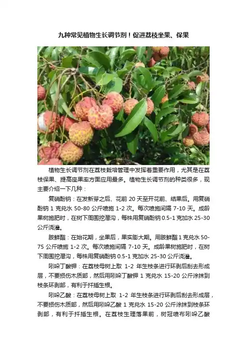 九种常见植物生长调节剂！促进荔枝坐果、保果