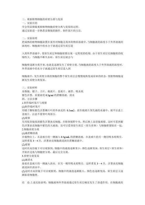 三、观察洋葱表皮细胞的质壁分离及质壁分离复原