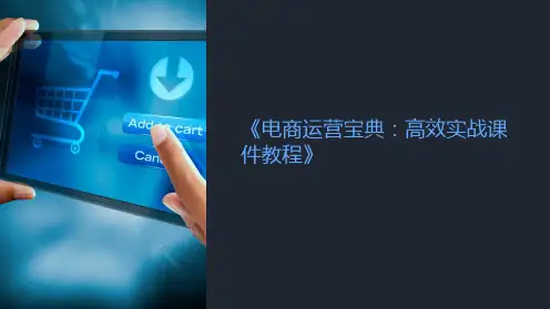 《电商运营宝典：高效实战课件教程》