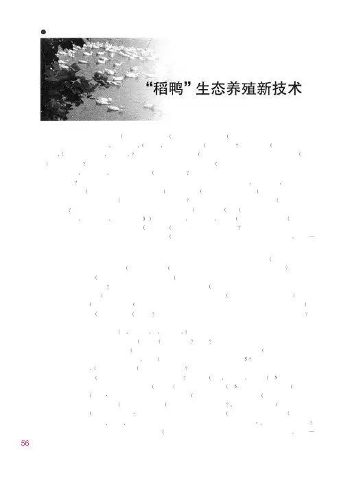 用新工艺建沼气池