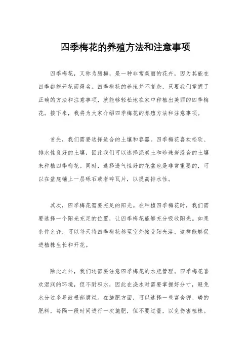 四季梅花的养殖方法和注意事项
