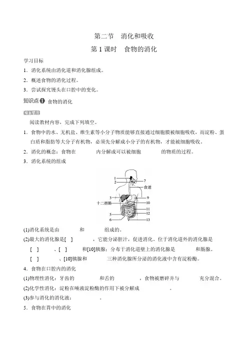 人教版生物七年级下册第四单元 第二章 第二节 消化和吸收 导学案(含答案)