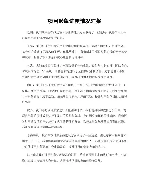 项目形象进度情况汇报