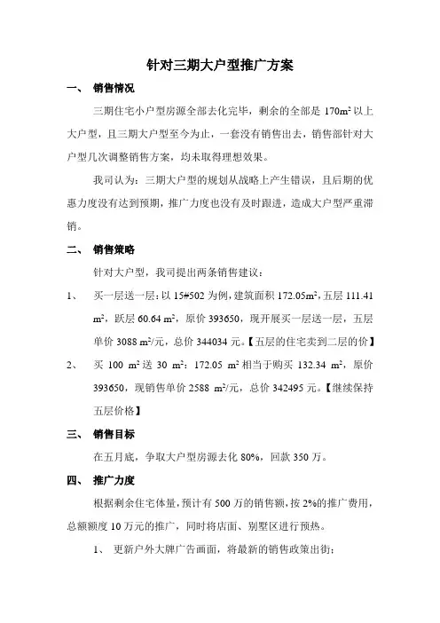 大户型推广方案
