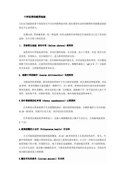 十种优秀的耐阴地被