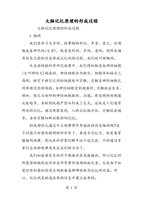 大脑记忆原理的形成过程