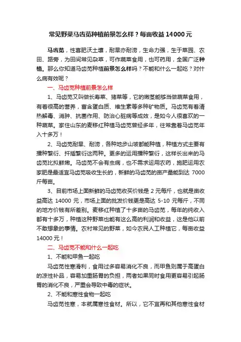 常见野菜马齿苋种植前景怎么样？每亩收益14000元