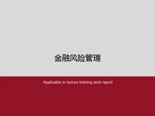 金融风险管理