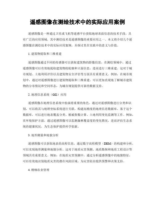 遥感图像在测绘技术中的实际应用案例