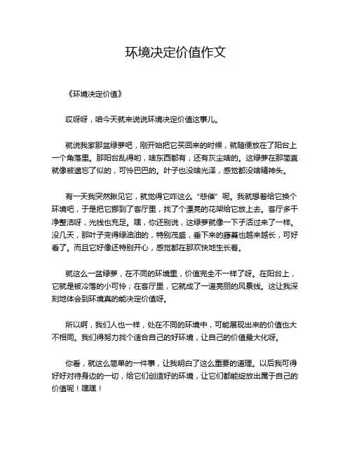 环境决定价值作文