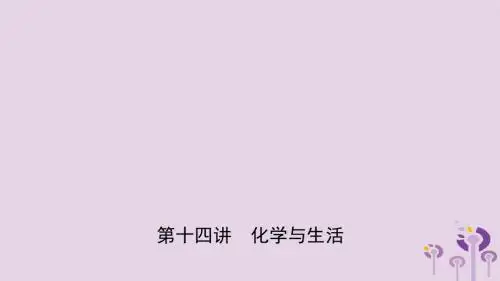 河北省2019年中考化学一轮复习第十四讲化学与生活课件