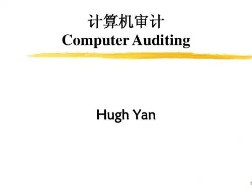 01计算机审计原理