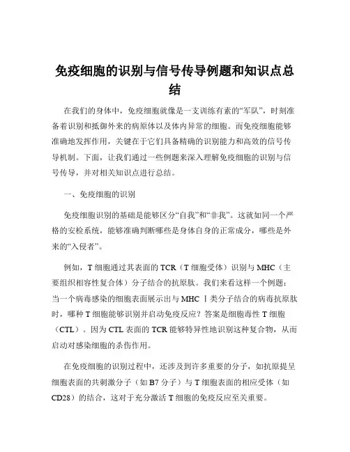免疫细胞的识别与信号传导例题和知识点总结