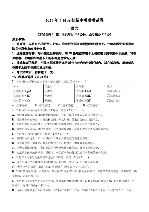 2024年湖南省怀化市怀化市校联考中考一模语文试题(含解析)