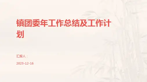 镇团委年工作总结及工作计划