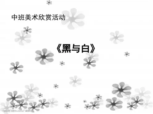幼儿园课件—黑与白