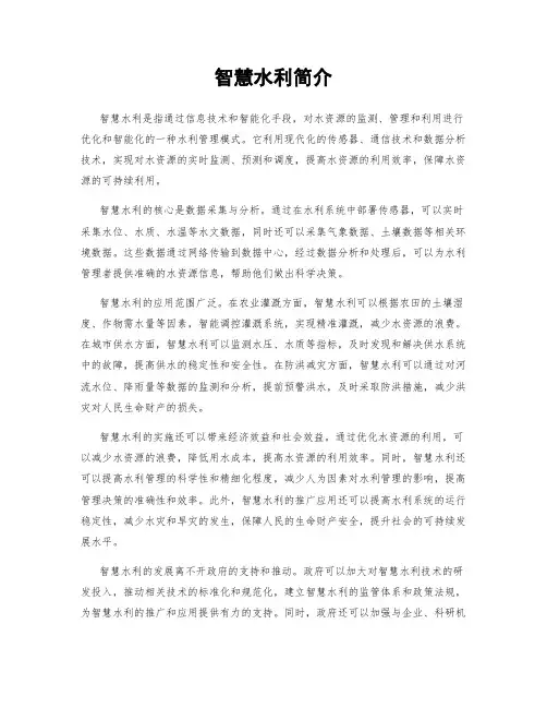 智慧水利简介