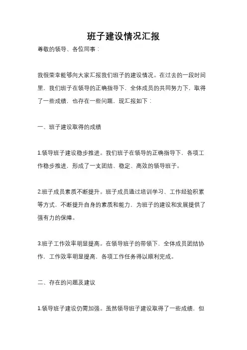 班子建设情况汇报