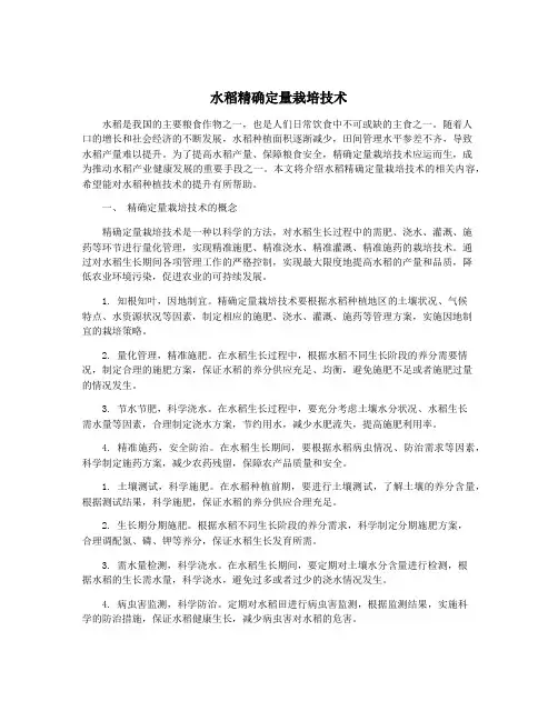 水稻精确定量栽培技术