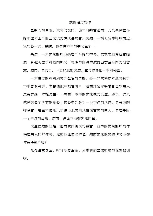 悲惨经历的作文
