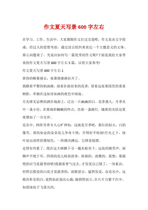 作文夏天写景600字左右