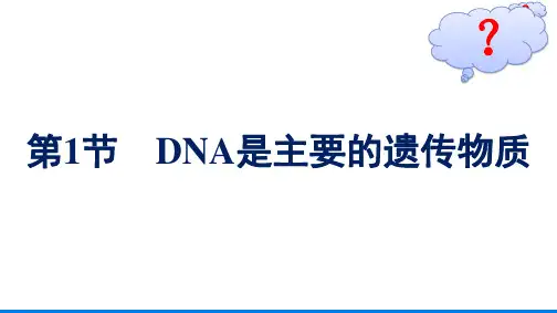 高中生物人教2019必修2第3章第1节DNA是主要的遗传物质课件