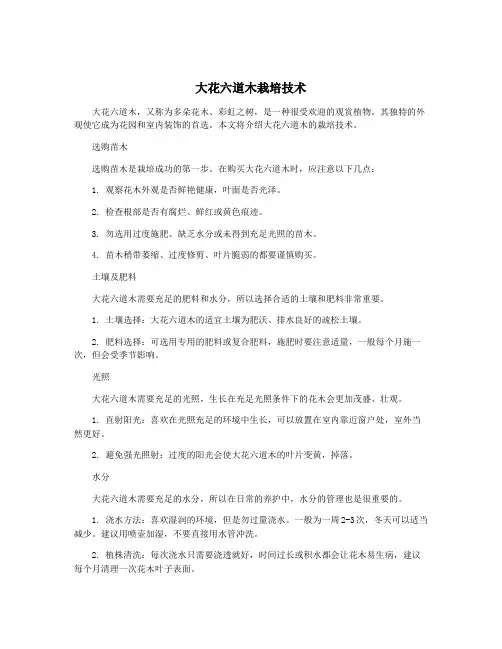 大花六道木栽培技术