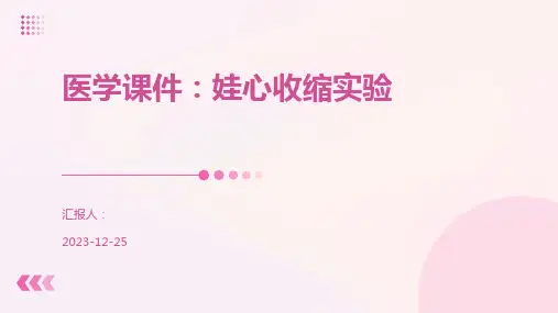 医学课件：娃心收缩实验