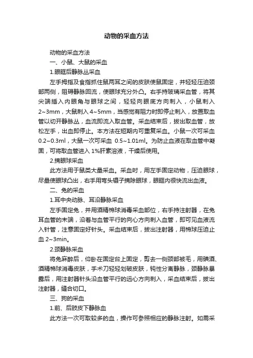 动物的采血方法