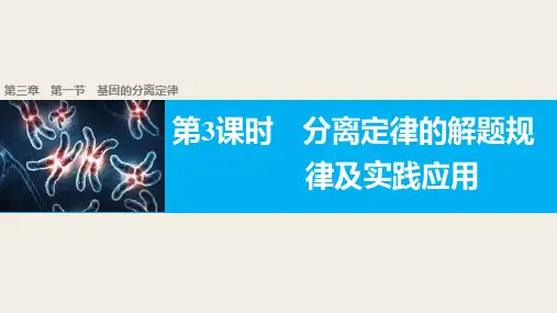 苏教版必修二 3.1.3分离定律的解题规律及实践应用 课件(43张)