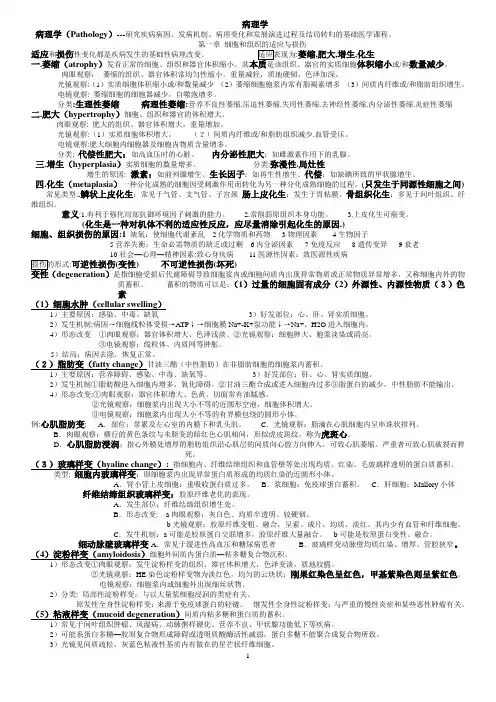 病理学(北医版)