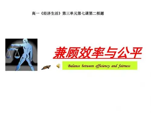 高一政治兼顾效率与公平