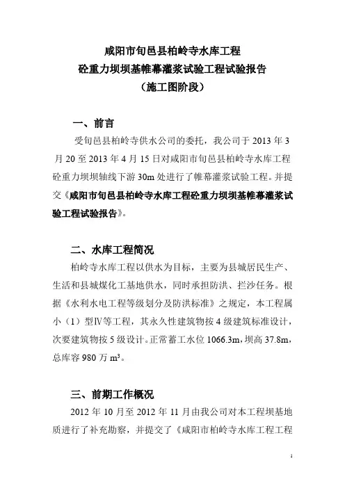 帷幕灌试报告
