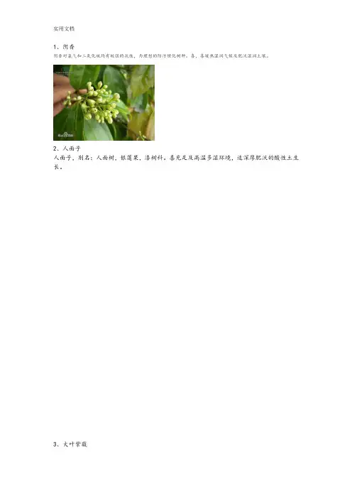 广东常见园林植物1