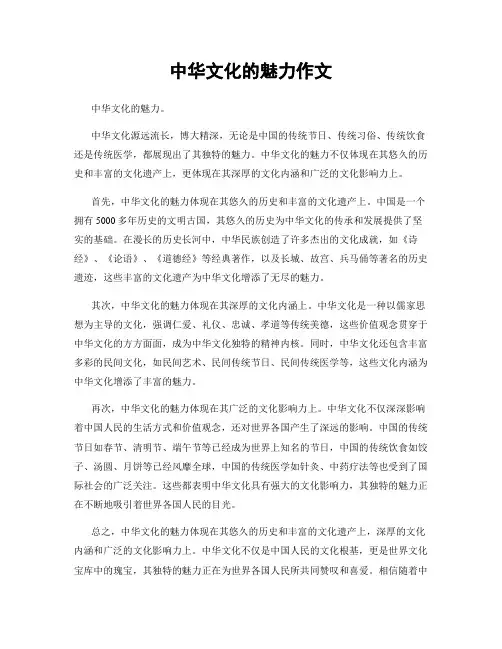 中华文化的魅力作文