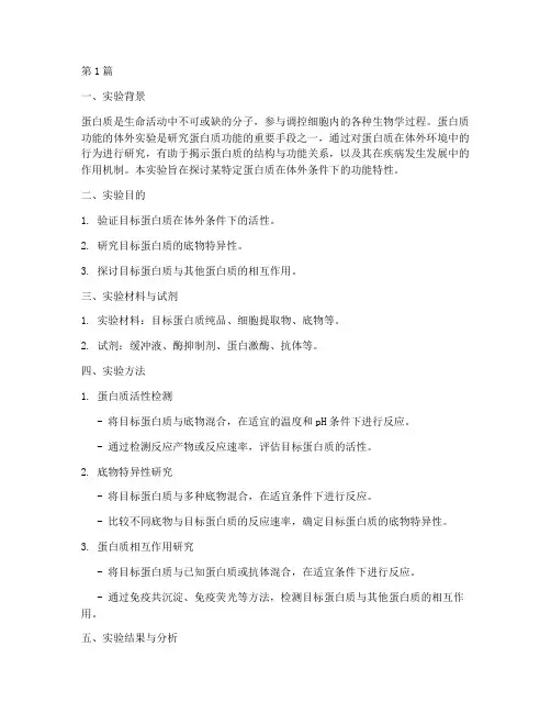 蛋白功能体外实验报告(3篇)