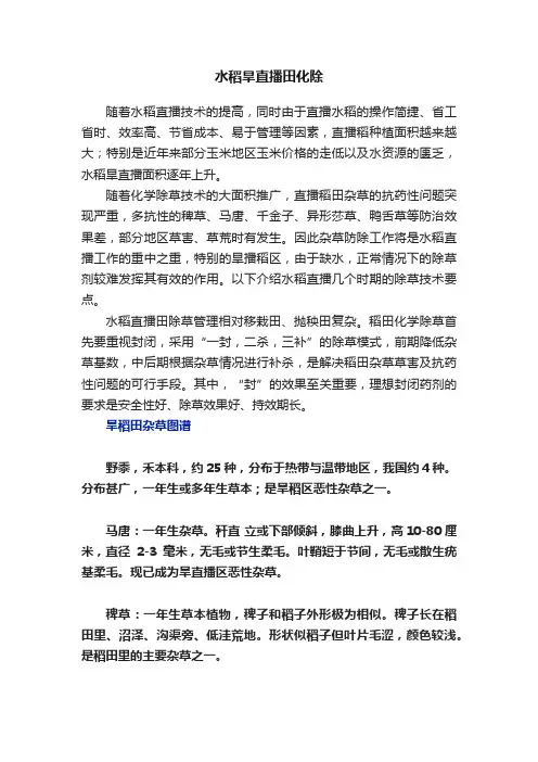 水稻旱直播田化除