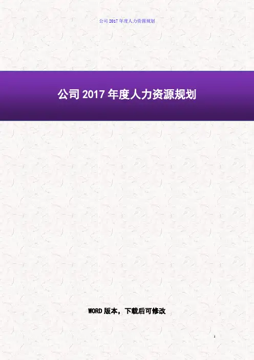 公司2017年度人力资源规划