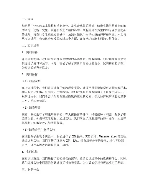 细胞实训报告心得体会