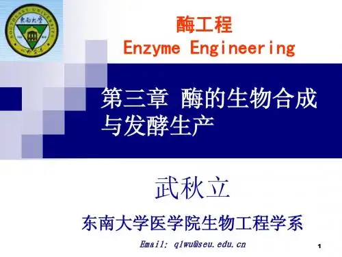 第三章酶的生物合成法生产