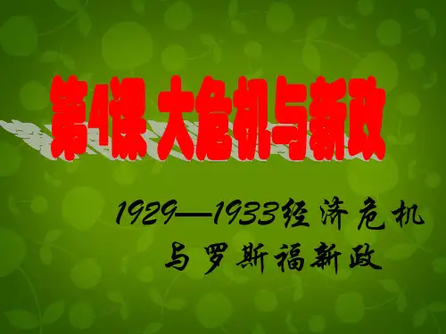北师大版初三下册历史第4课“大危机”与“新政”PPT课件(5)