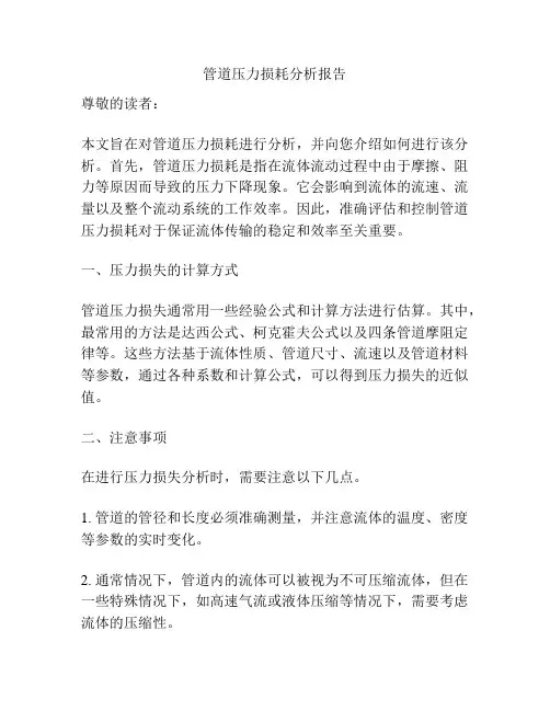 管道压力损耗分析报告