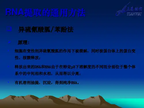mRNA提取注意事项