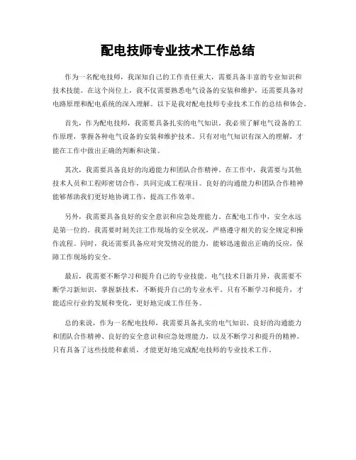 配电技师专业技术工作总结
