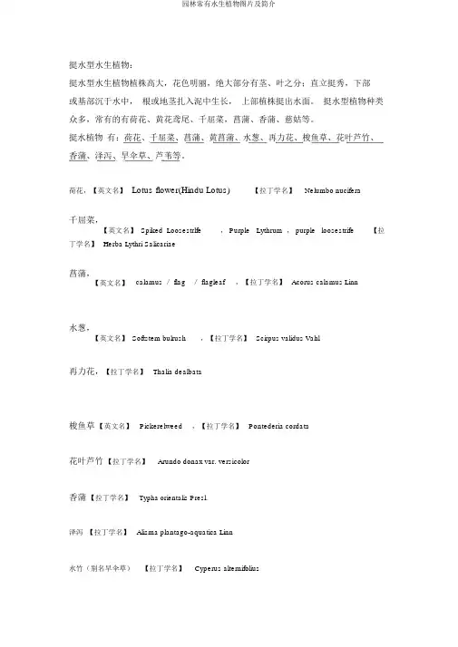 园林常见水生植物图片及简介