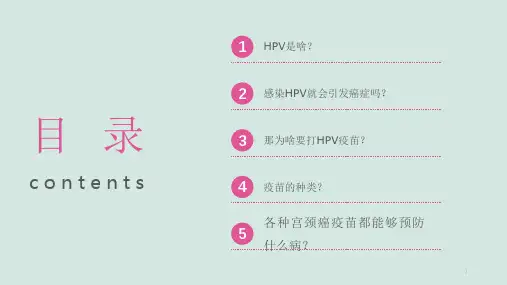 HPV的解读与疫苗ppt课件