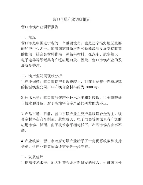 营口市镁产业调研报告