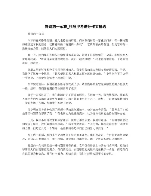 特别的一朵花_往届中考满分作文精选