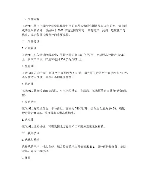 玉米981品种简介